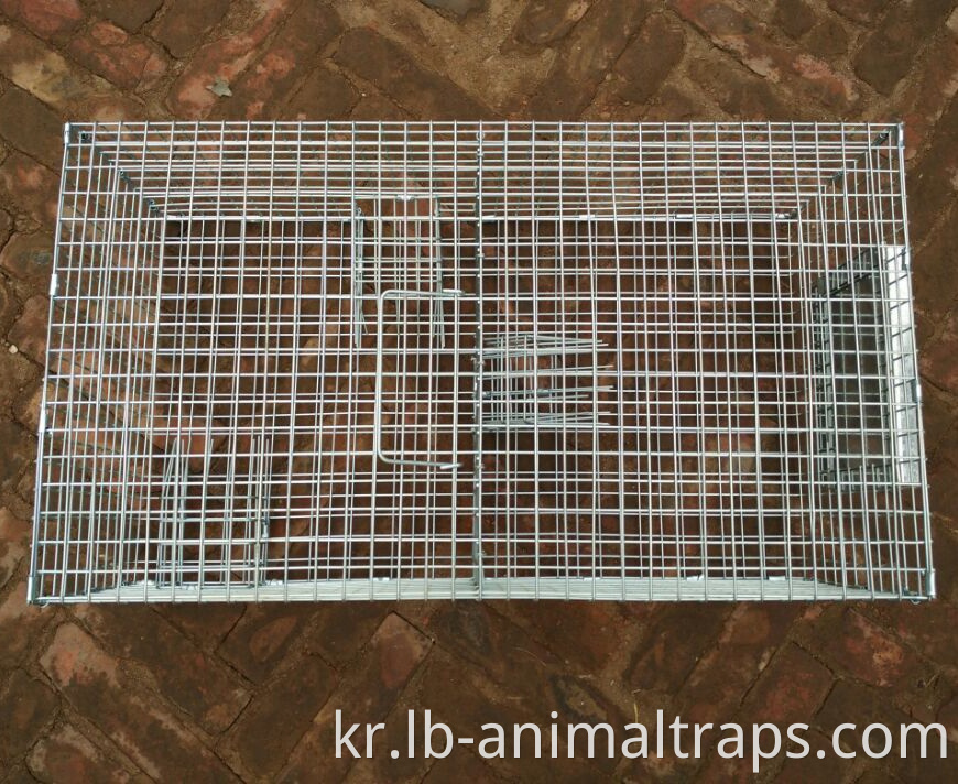 Repeating Control Trap Wire Cage